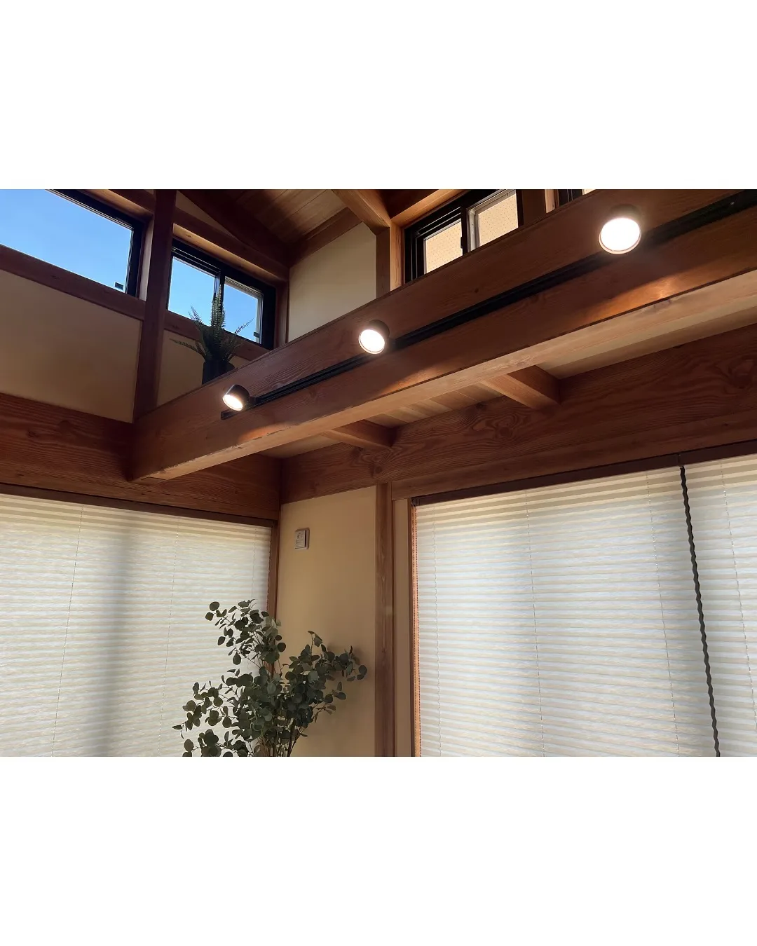 🌳木造住宅が選ばれる理由🌳