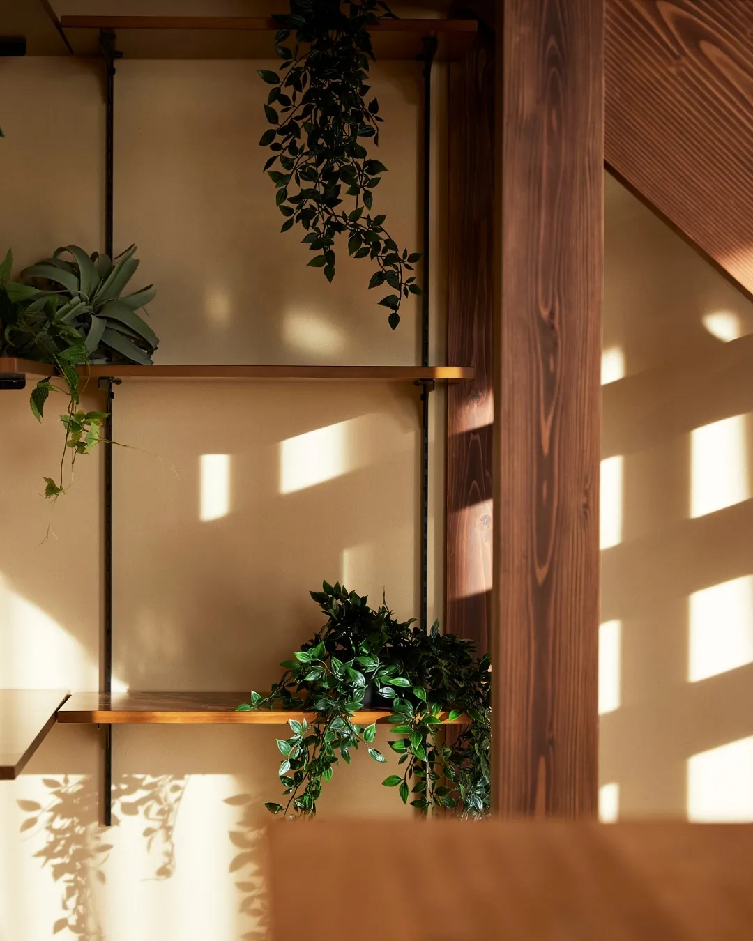 やさしく、やわらかく🏠🫧