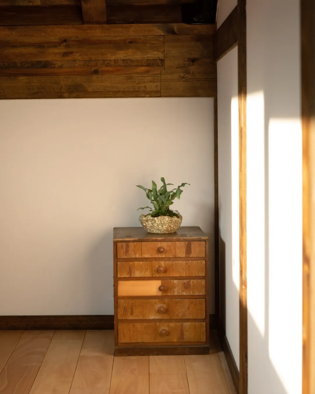 お家に帰るたびに