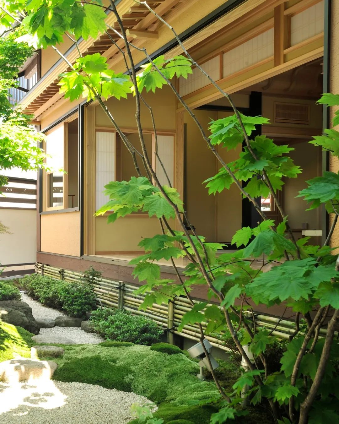 madreeとのコラボ開催中🎊