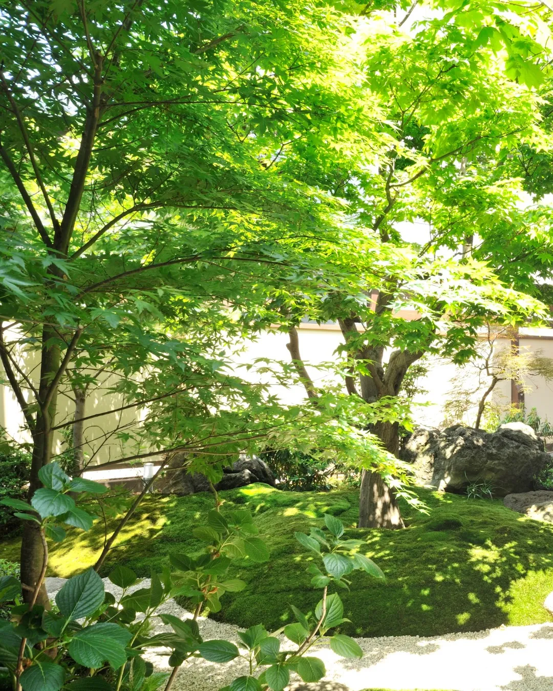 madreeとのコラボ開催中🎊