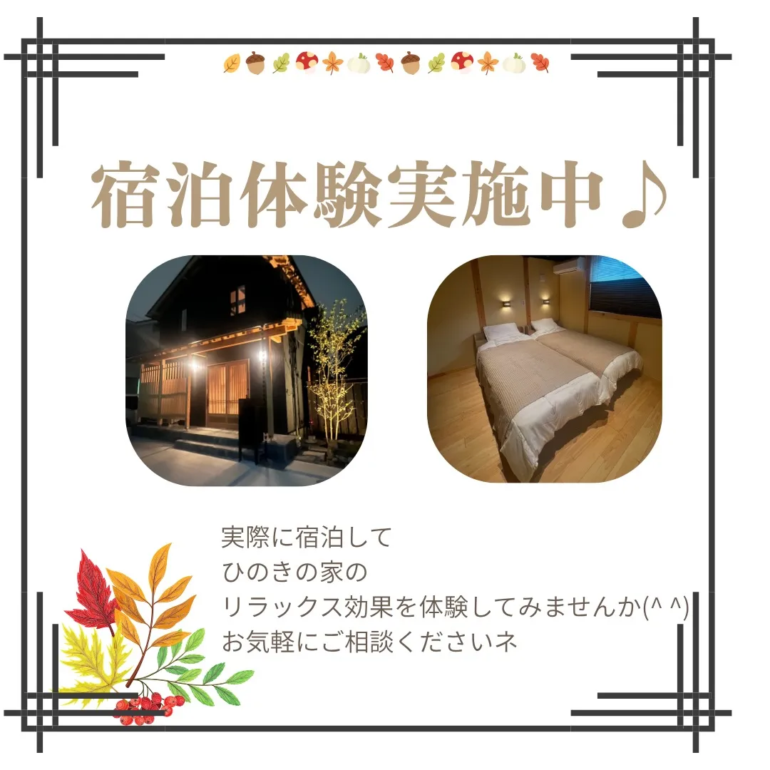 🌿 木のぬくもりに包まれる、心安らぐ暮らし。